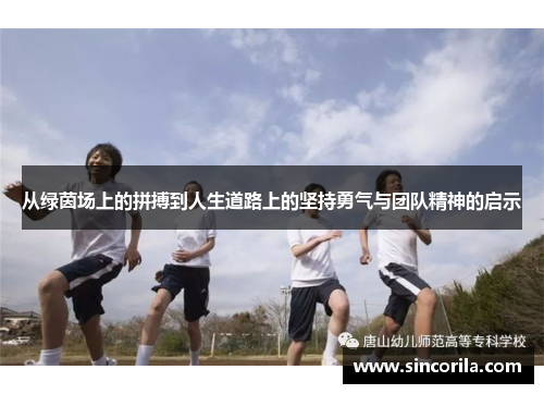 从绿茵场上的拼搏到人生道路上的坚持勇气与团队精神的启示